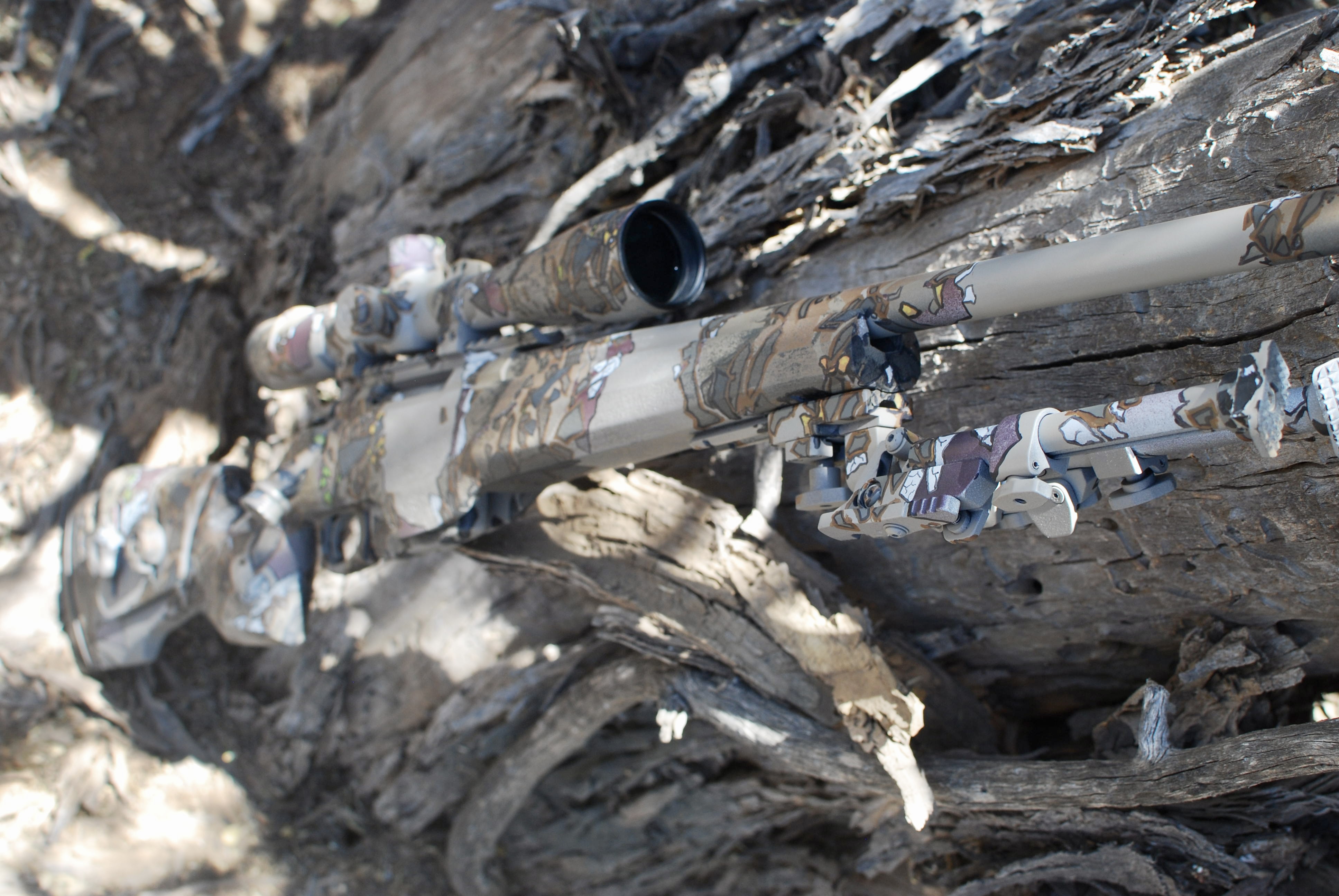 Firearm Customization